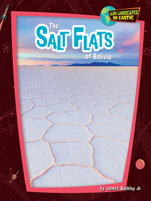 cover image of The Salt Flats of Bolivia